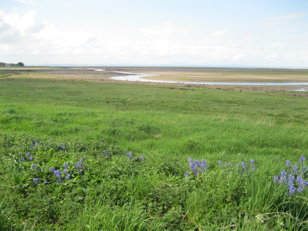 Aberlady Bay